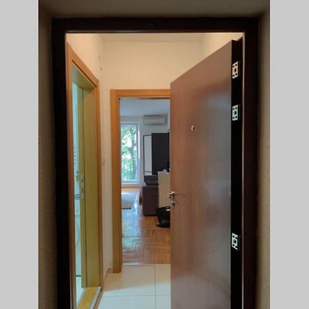 Renovated Cozy Studio 7 At Top Location - Available For Long Term Rentals Újvidék Kültér fotó