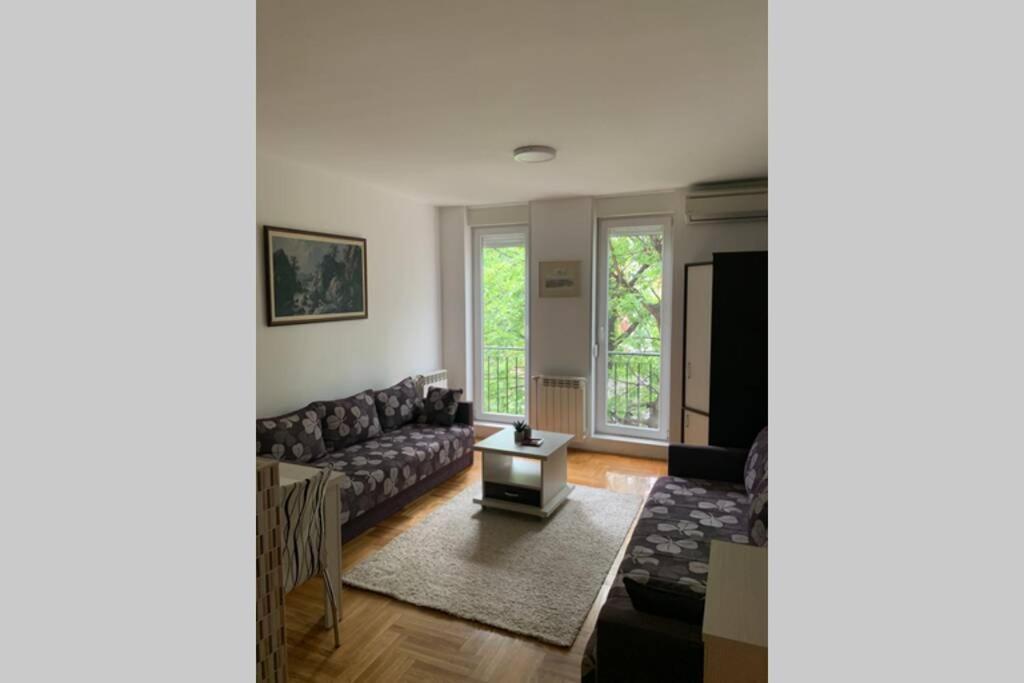 Renovated Cozy Studio 7 At Top Location - Available For Long Term Rentals Újvidék Kültér fotó
