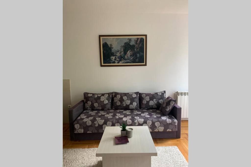 Renovated Cozy Studio 7 At Top Location - Available For Long Term Rentals Újvidék Kültér fotó